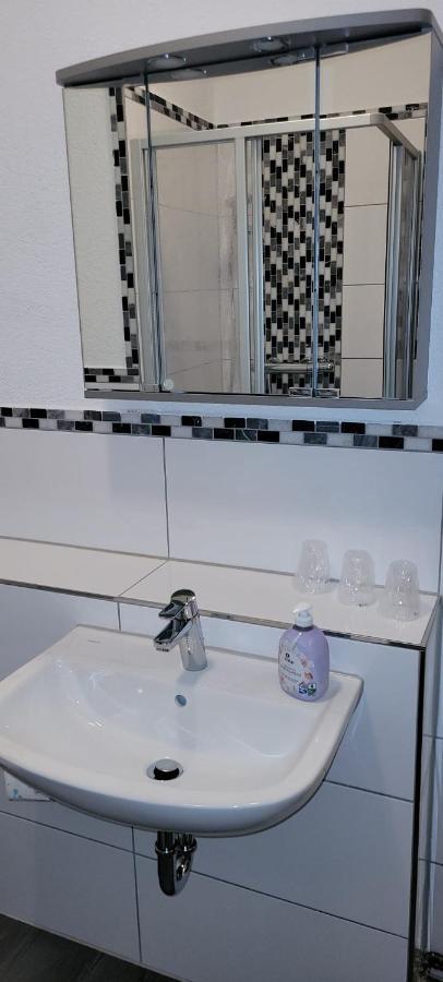 Zentral Und Ruhig In Auerbach Apartman Auerbach  Kültér fotó